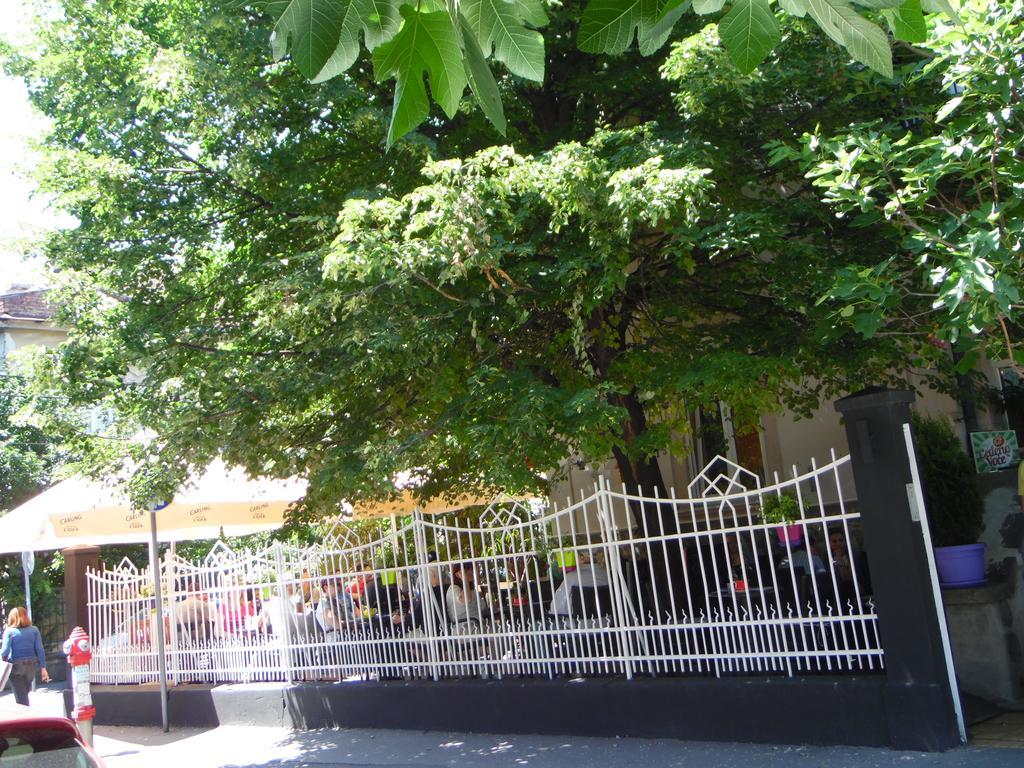 Apartment Vracar Beograd Ruang foto