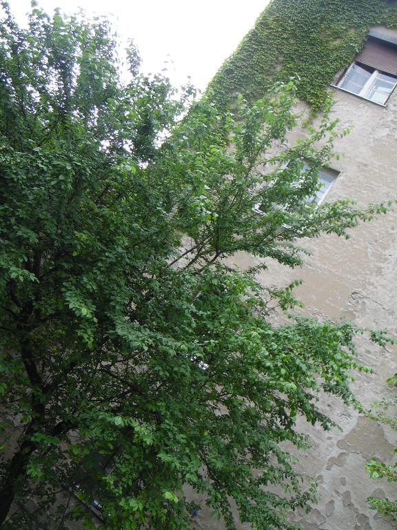 Apartment Vracar Beograd Bagian luar foto